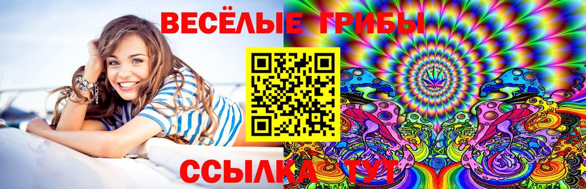 Похвистнево  Псилоцибиновые грибы GOLDEN TEACHER  Галлюциногенные грибы GOLDEN TEACHER  Вход с VPN 