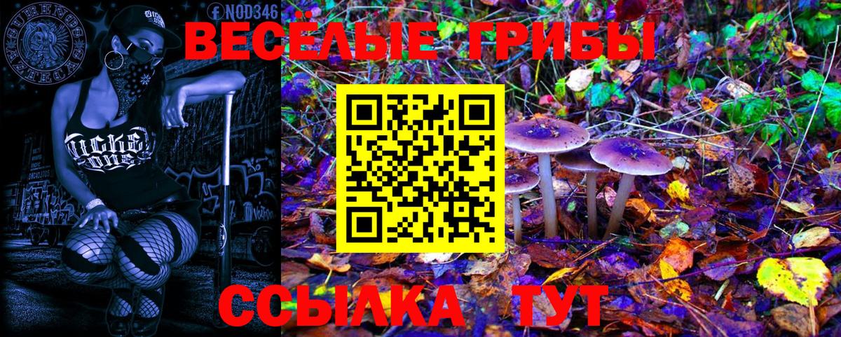 Псилоцибиновые грибы ЛСД Похвистнево